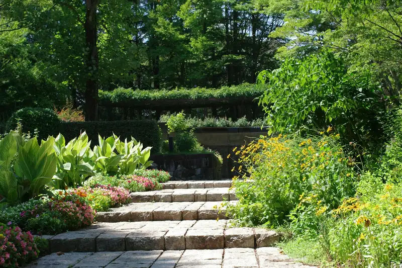 Wide stone steps climbing through layered shade planting to a lawn terrace