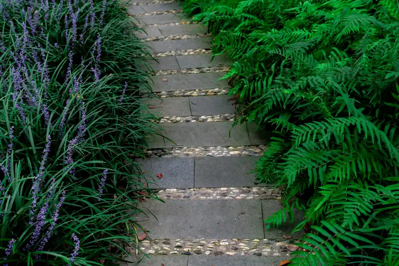 Stone steps edged with ferns and purple liriope